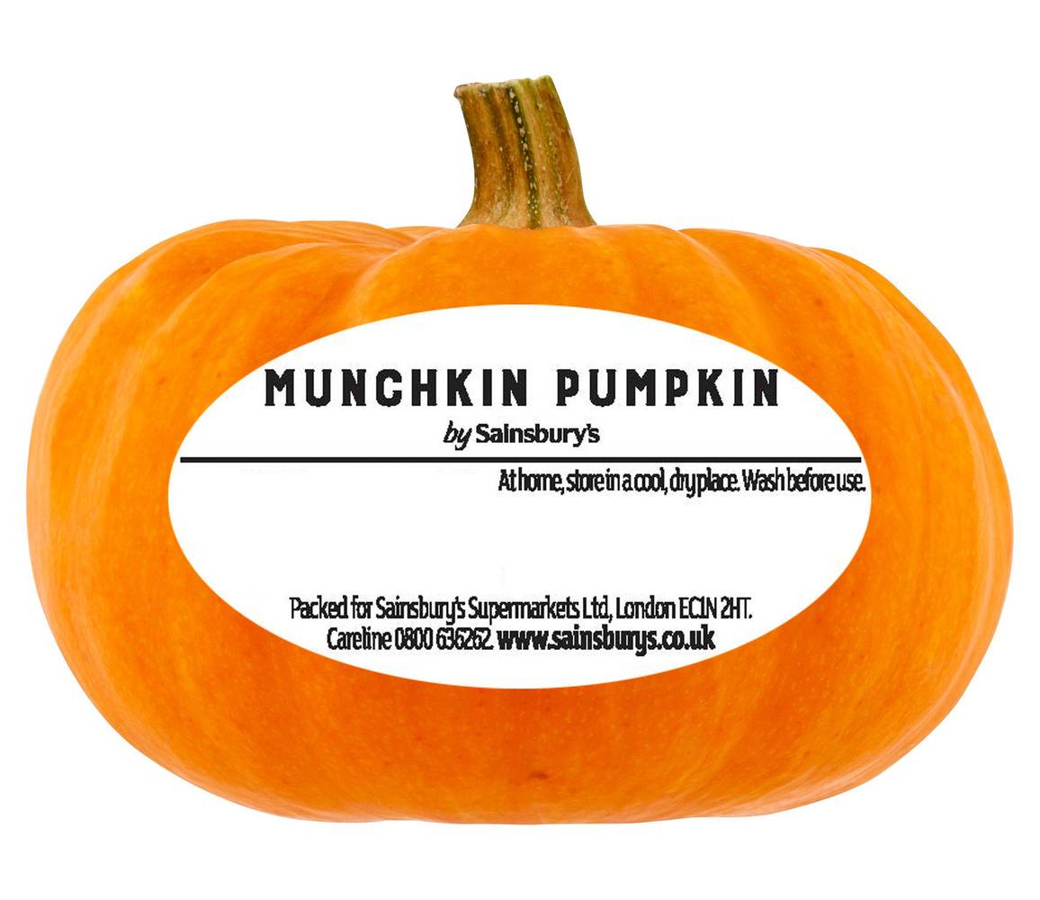 Sainsbury's Munchkin Pumpkin