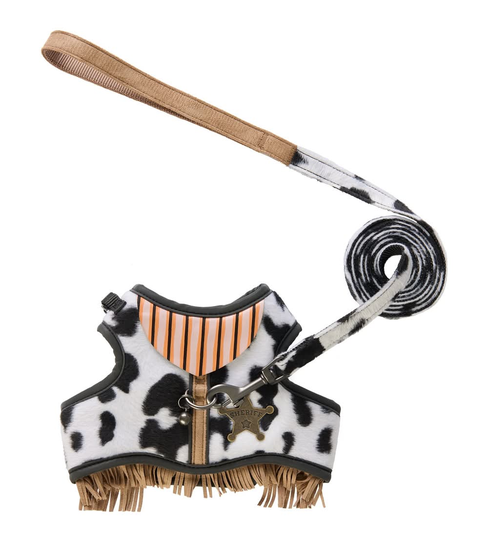 Thrills & Chills™ Halloween Cowboy Kitten & Cat Leash & Harness Combo (Color: Black, Size: Kitten)