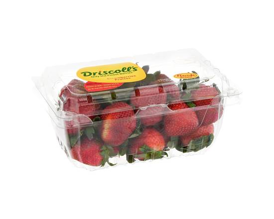 Driscoll's · Strawberries (16 oz)