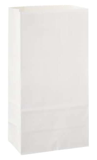 Celebrate It Paper Treat Bags, Large, White (12 ct)