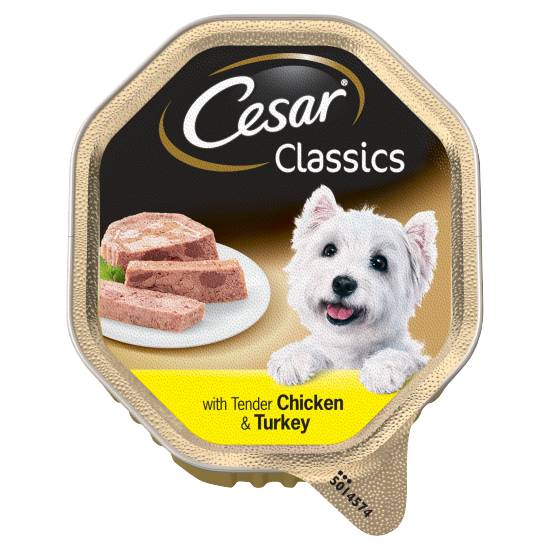 Cesar Adult Wet Dog Food Tray