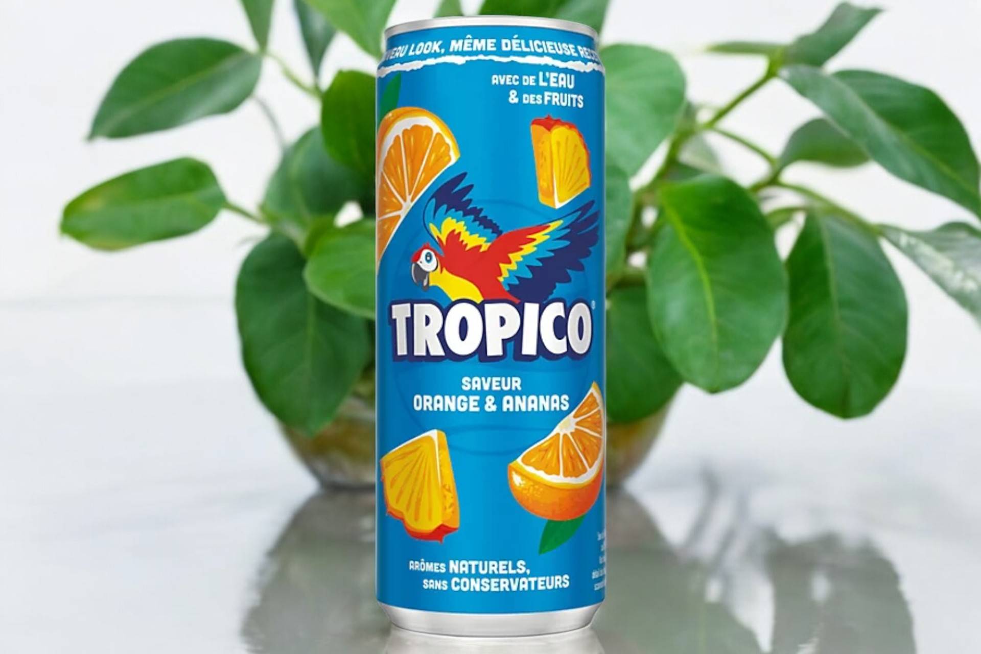 🥤Tropico