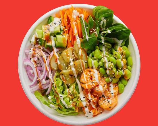 Korean Gochu Salad Bowl - Designed by Us