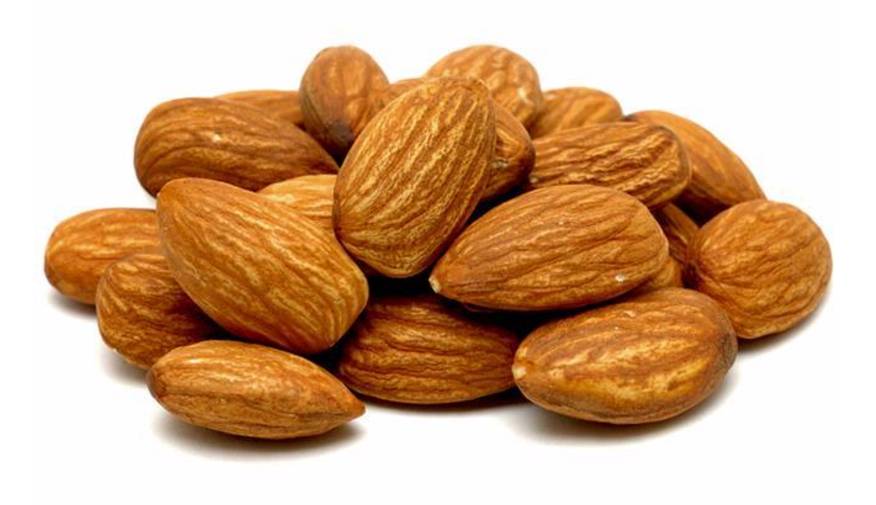 Amandes grillees sans sel - les 100g