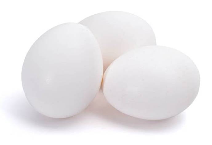 Chestnut Hill Eggs, L (12 ct)