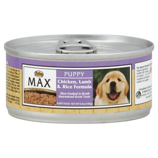 Nutro puppy food lamb best sale and rice