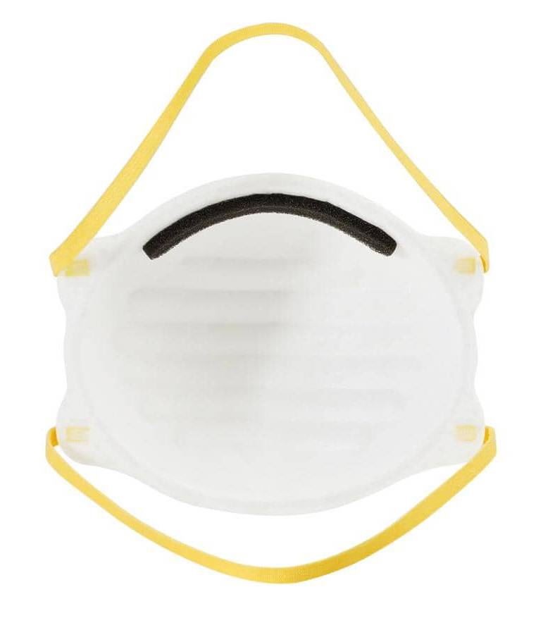 HDX N95 Disposable Adult Respirator Mask (10 ct)