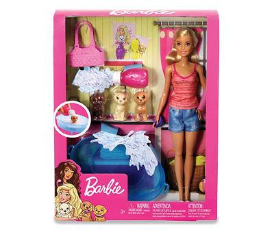 Barbie Doll & Accessories