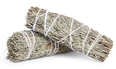 Wild Sage Bundle 2-Pack