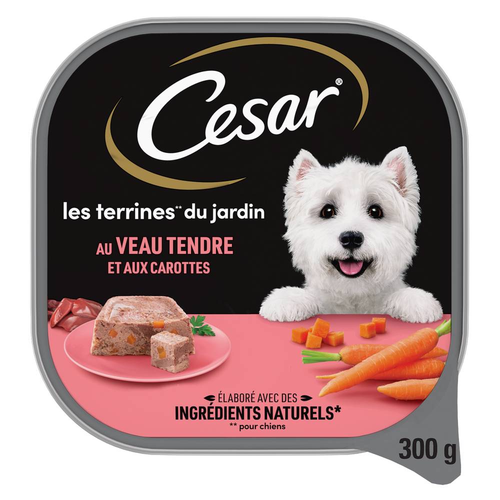 Cesar - Terrines au veau et aux carottes pour chien adulte (300g)