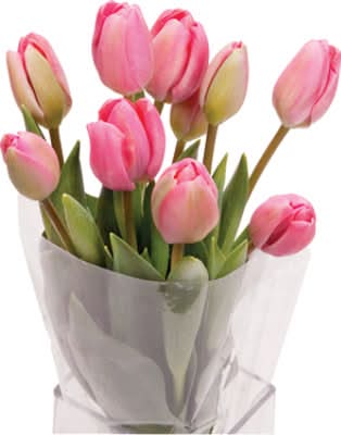 Tulips Bunch - Each (Colors May Vary)