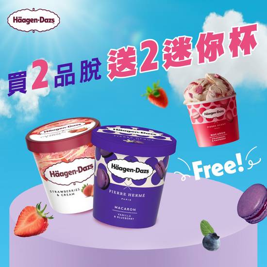 品脫 2 入優惠組 (加贈迷你杯 2 入) 2 Pints Value Combo (Free 2 Mini Cup Ice Cream)