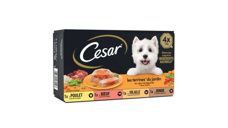 César Terrines au coeur de légumes 4 variétés pour chien Les 4 boîtes de 150g