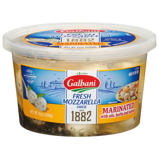Galbani Marinated Fresh Mozzarella Cheese