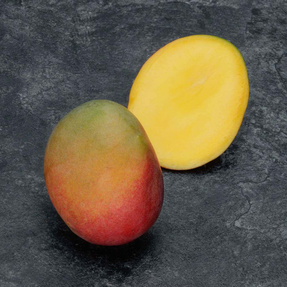 Mangue (1 pièces)