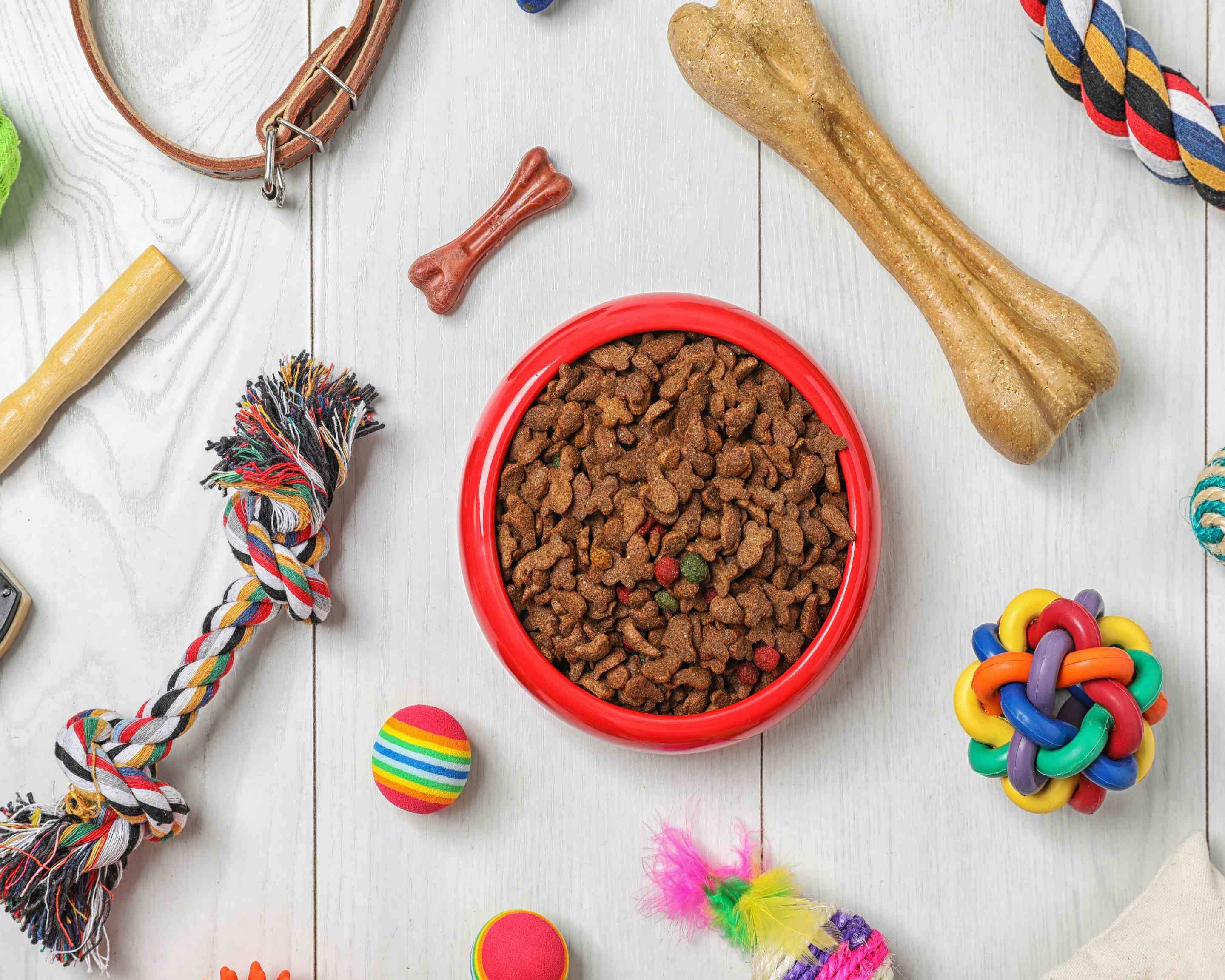 Pawsability Dog Club