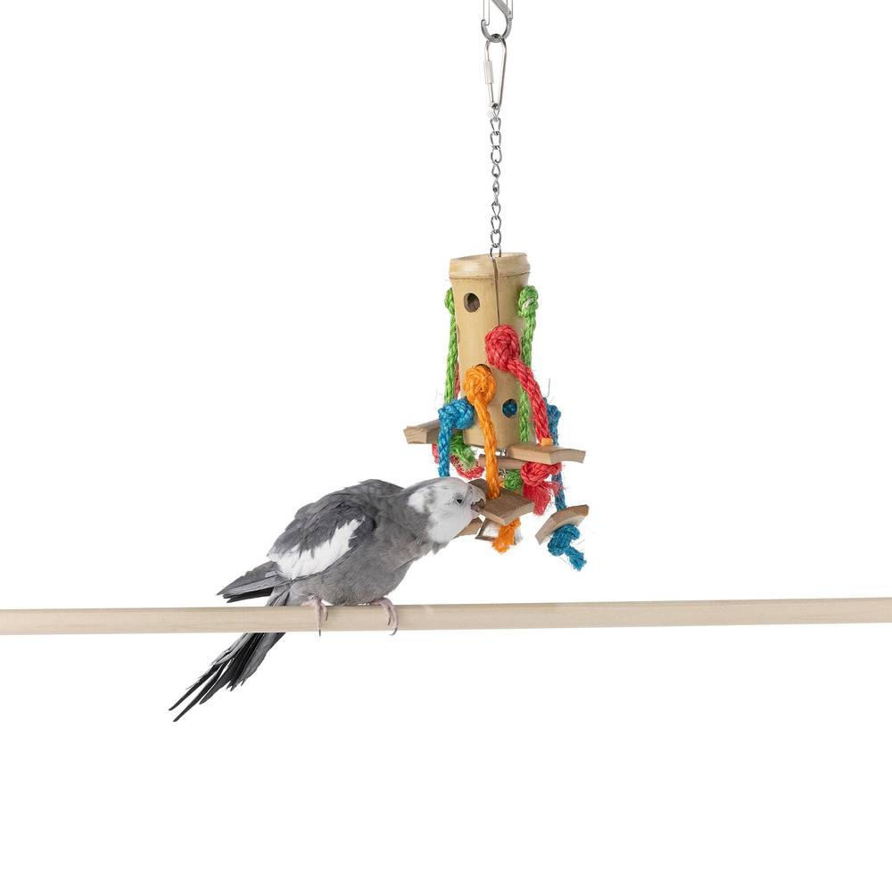 All Living Things® Bamboo Spider Bird Toy (Color: Assorted, Size: Medium)