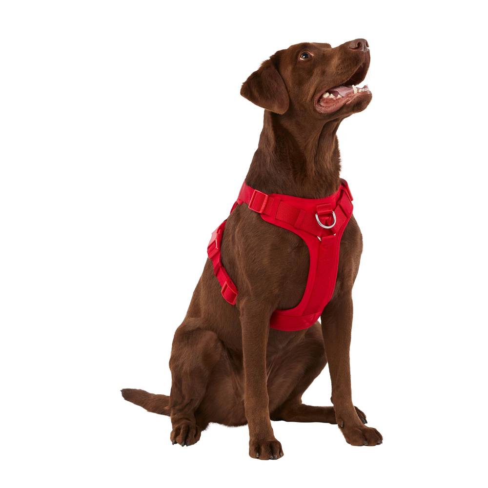 Top Paw Neoprene Comfort Dog Harness (large/red)