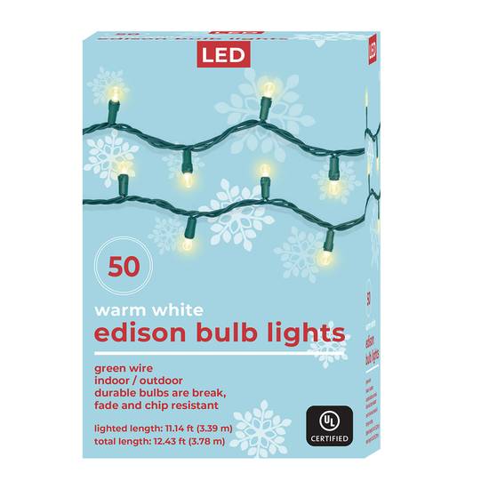 LED Mini Edison Bulb Light - Worm White, 50 ct