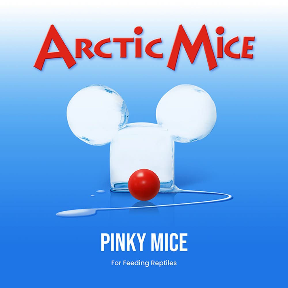 Arctic Mice Frozen Pinky Mice - Snake Food - 1-20 ct