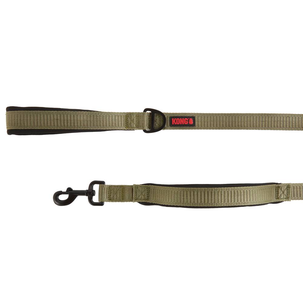 Kong Comfort Traffic Dog Leash (48 in/green)