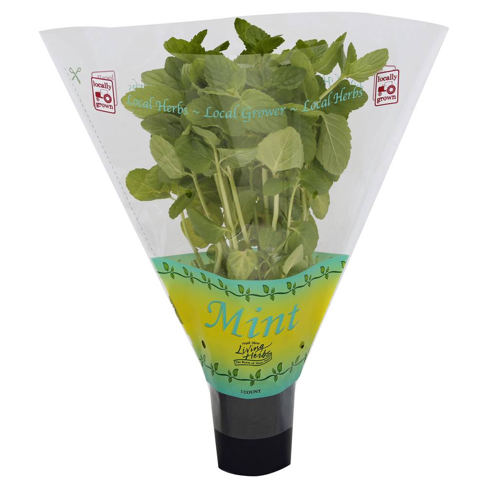 North Shore Living Herbs Mint Plant (1 ct)