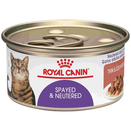Royal Canin Feline Health Nutrition Spayed Neutered Thin Slices in Gravy Canned Cat Food (3 oz)