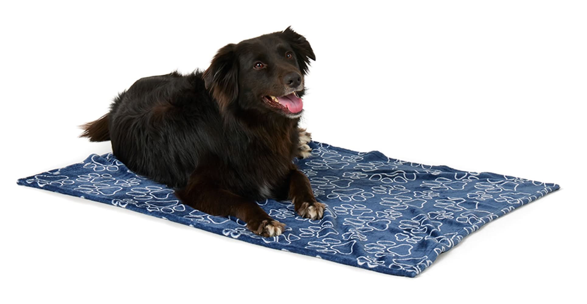 Top Paw® Classic Cozy Throw Blanket (Color: Blue)