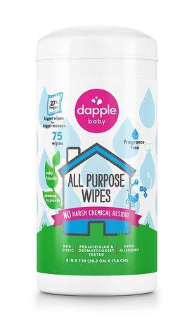 Dapple Baby All Purpose Wipes (75 units)