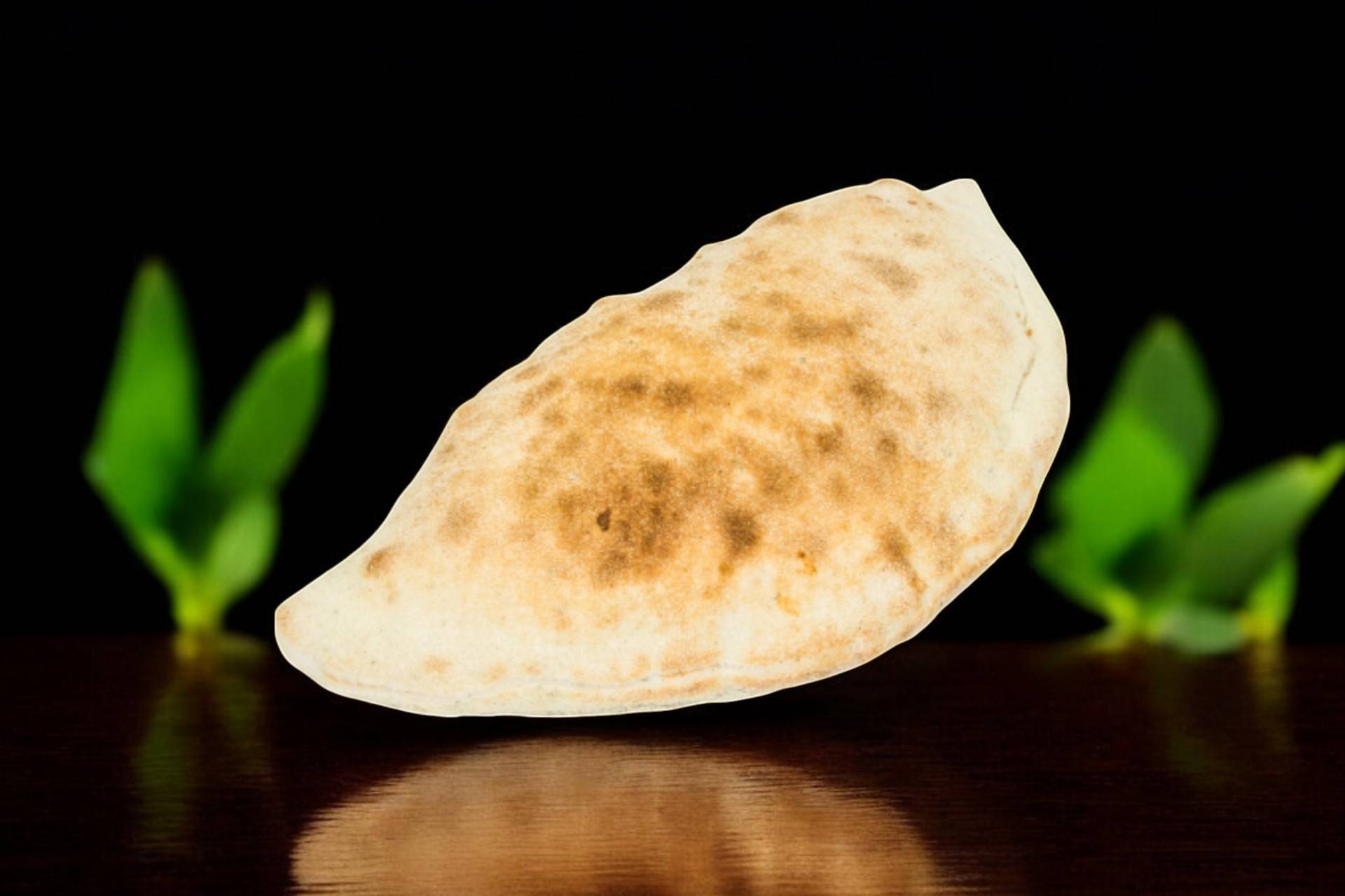 Pizza calzone🍕🍅