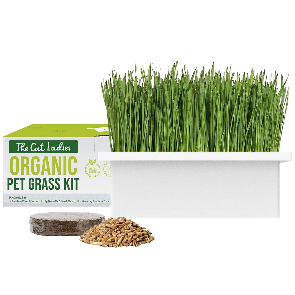 The Cat Ladies Bamboo Fiber Planter Organic Pet Grass Kit (Color: Multi Color)