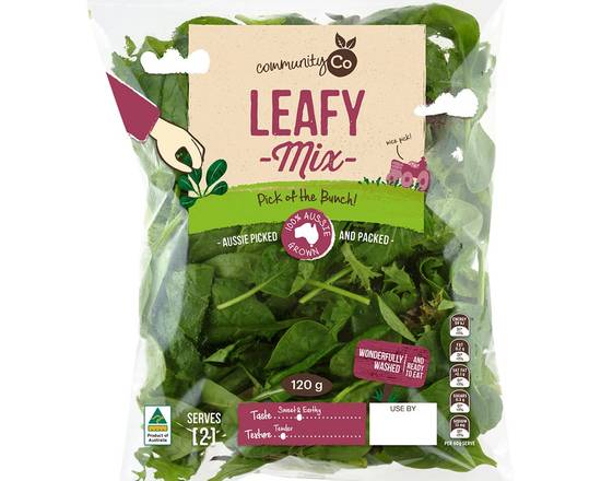 Salad Bag Leafy Mix 120g