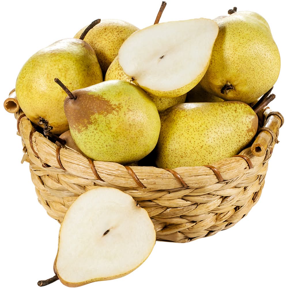 Pera Rocha Programa Origens