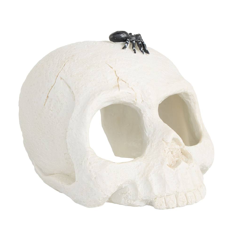 Thrills & Chills Skull Hide Ornament (Size: 1 Count)