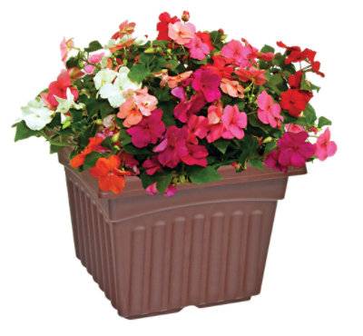 Square Planter 8 Inch (each)