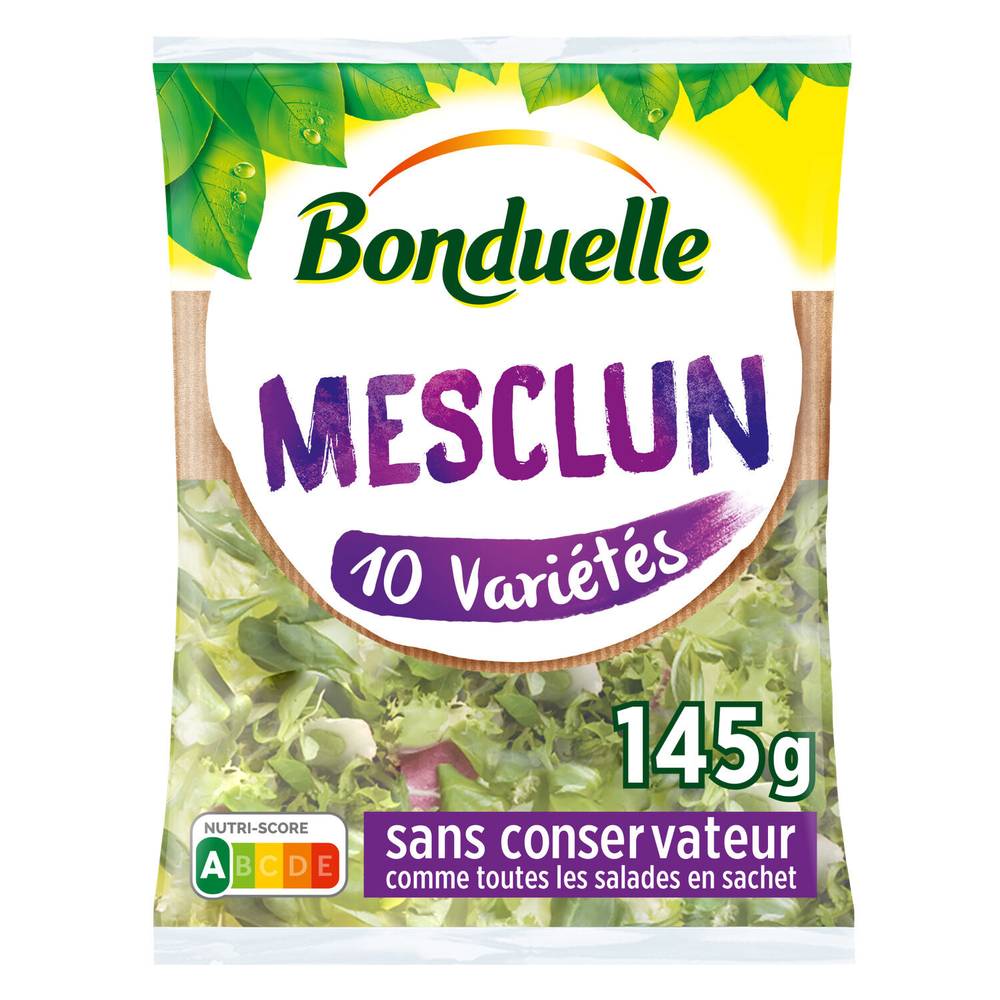Bonduelle - Mesclun 10 variétés