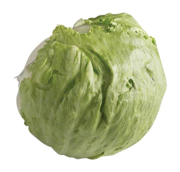 Iceberg Lettuce