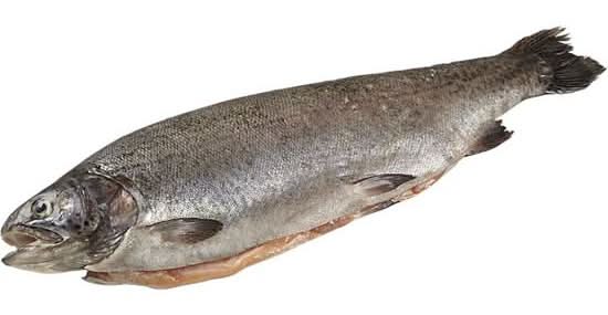 Fresh Whole Rainbow Trout