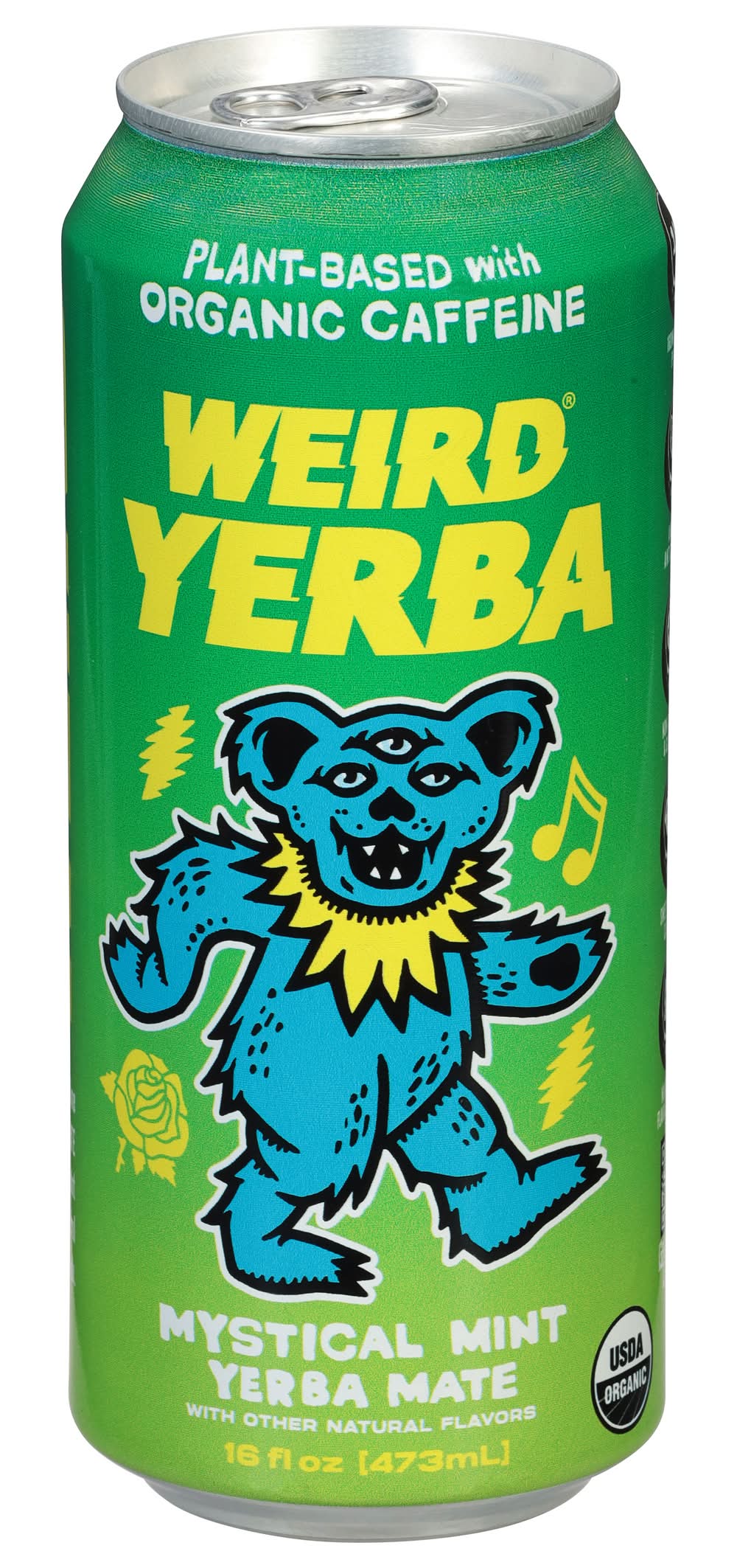 DRINK WEIRD Mystical Yerba Mate Tea, Mint (16 fl oz)
