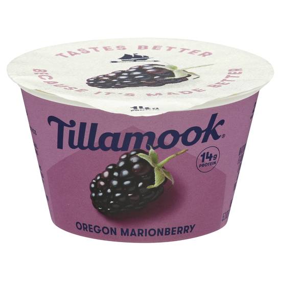 Tillamook Lowfat Oregon Marionberry Yogurt (5.3 oz)