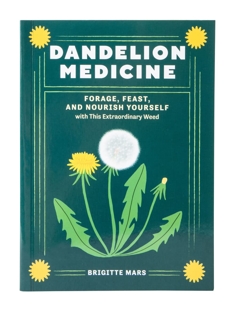 Dandelion Medicine Book