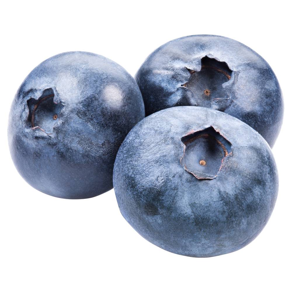 Organic Blueberries 510 G / 18 Oz