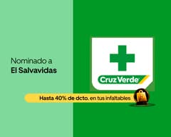 Farmacias Cruz Verde (1130 - Avenida O`Higgins 581)