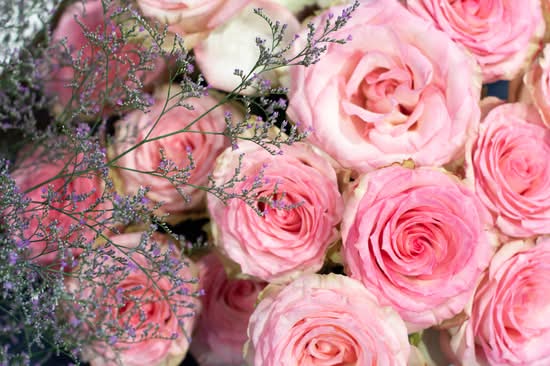 The Flower Spell 🛒💐