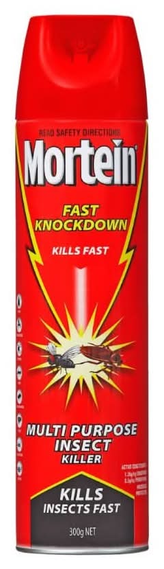 Mortein Spray Fast Knockdown 300g