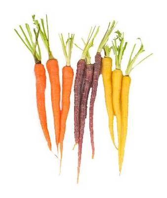 Cenoura Rainbow Biológica