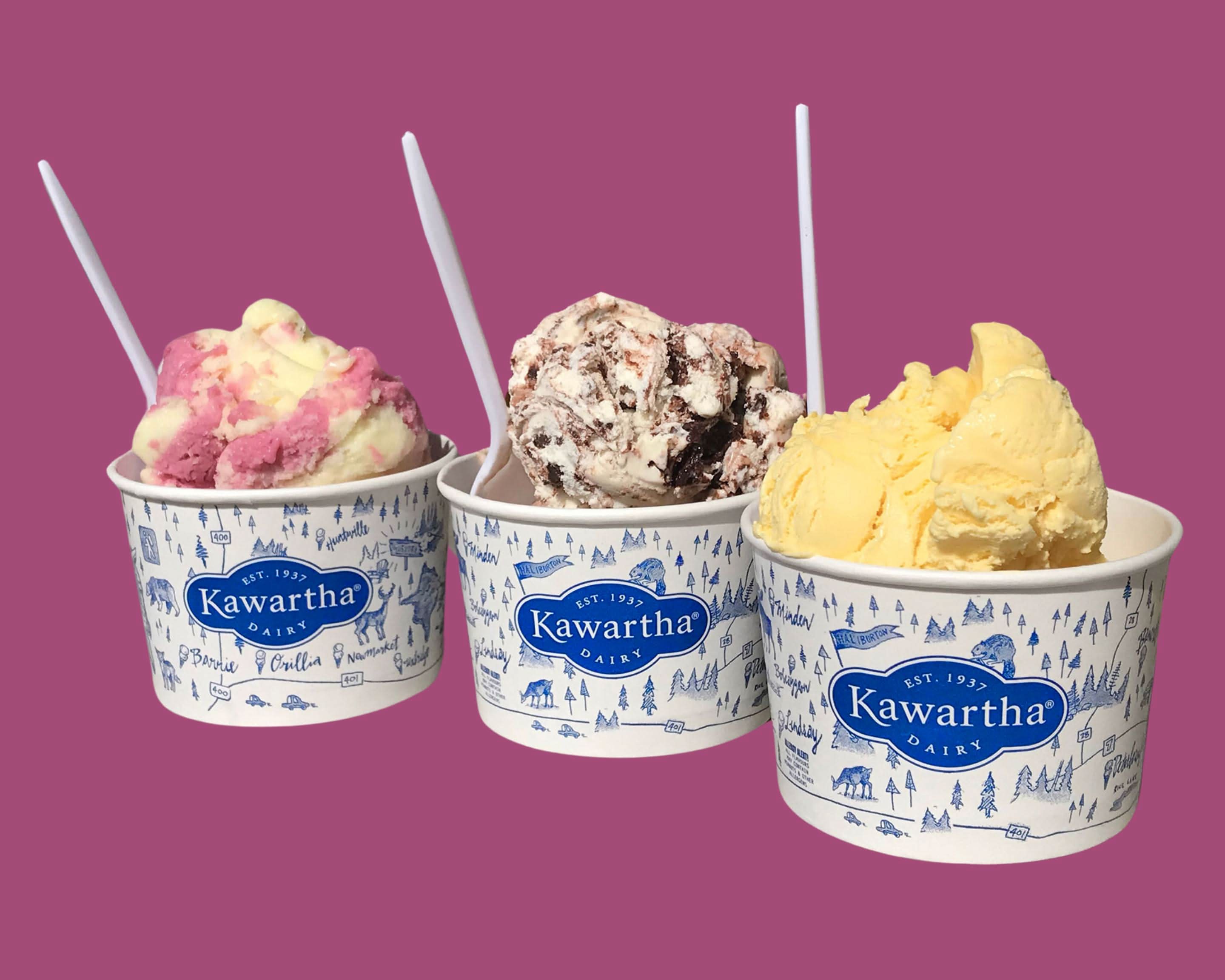 Order Kawartha Dairy Ice Creams and Milkshakes (286 Lake Street