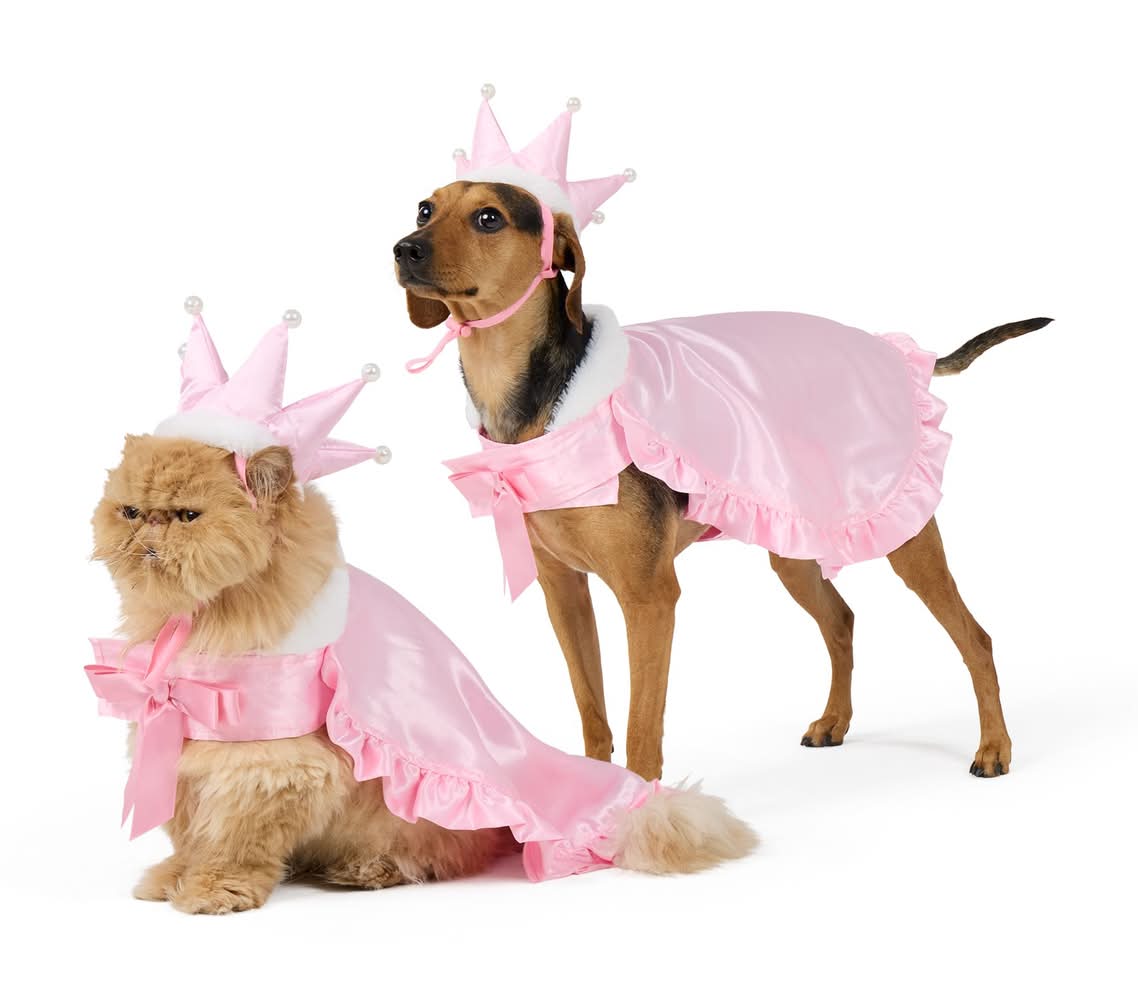 Thrills & Chills® Princess Dog & Cat Costume Set (Color: Multi Color, Size: Large/X Large)
