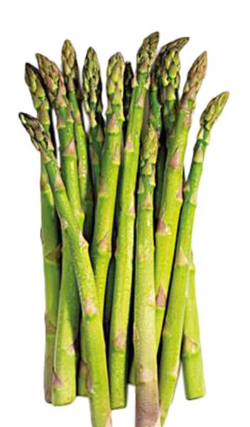 Asparagus