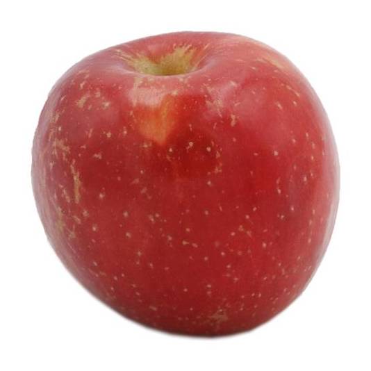 Haralson Apples